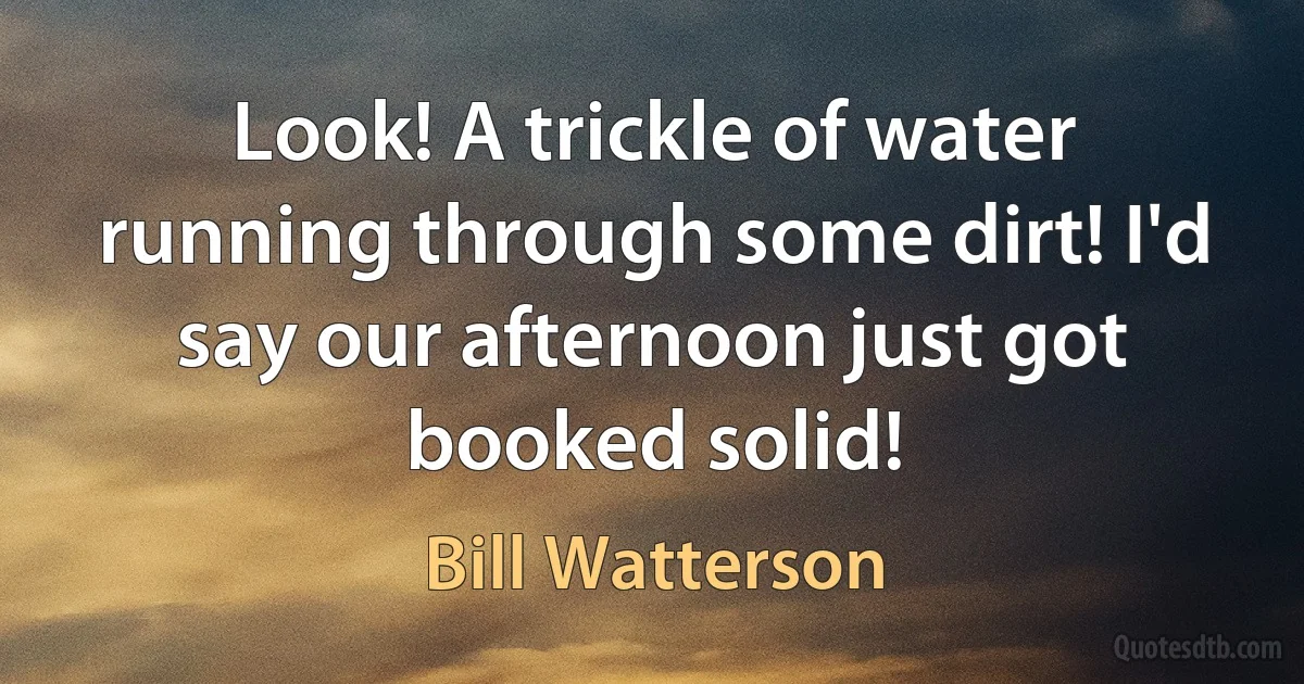 Look! A trickle of water running through some dirt! I'd say our afternoon just got booked solid! (Bill Watterson)