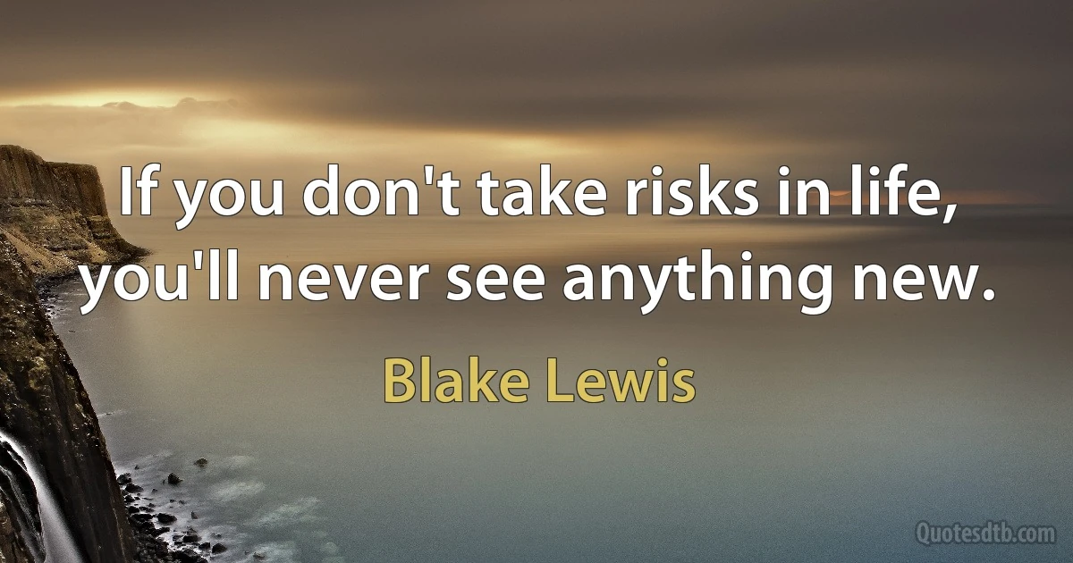 If you don't take risks in life, you'll never see anything new. (Blake Lewis)