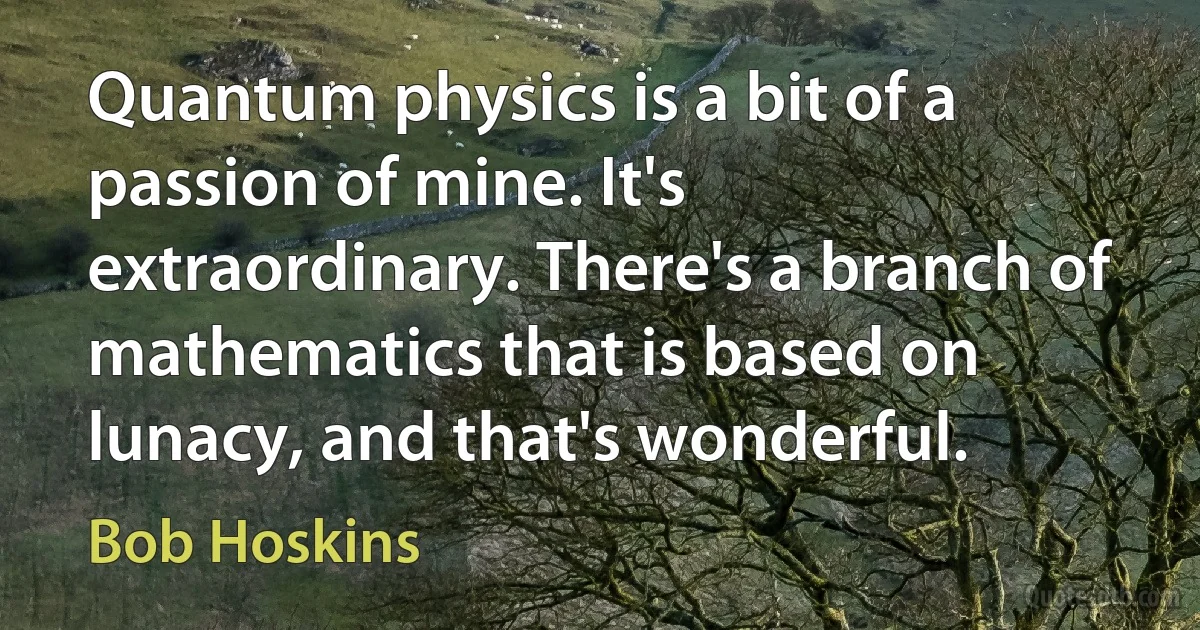 Quantum physics is a bit of a passion of mine. It's extraordinary. There's a branch of mathematics that is based on lunacy, and that's wonderful. (Bob Hoskins)