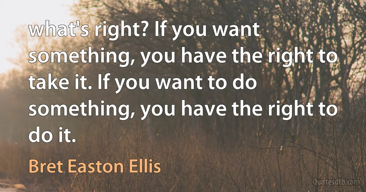 what's right? If you want something, you have the right to take it. If you want to do something, you have the right to do it. (Bret Easton Ellis)