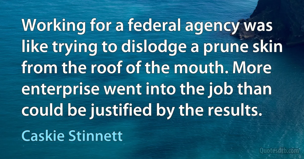 Working for a federal agency was like trying to dislodge a prune skin from the roof of the mouth. More enterprise went into the job than could be justified by the results. (Caskie Stinnett)