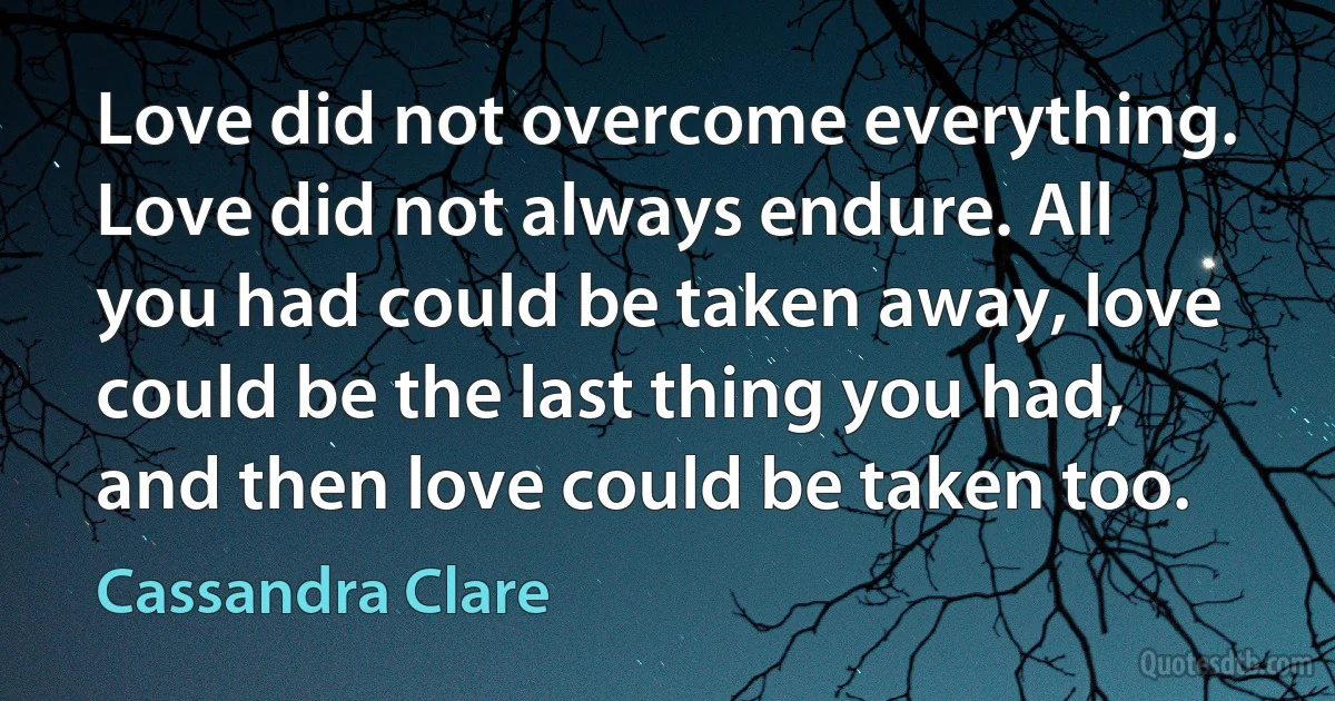 Love did not overcome everything. Love did not always endure. All you had could be taken away, love could be the last thing you had, and then love could be taken too. (Cassandra Clare)