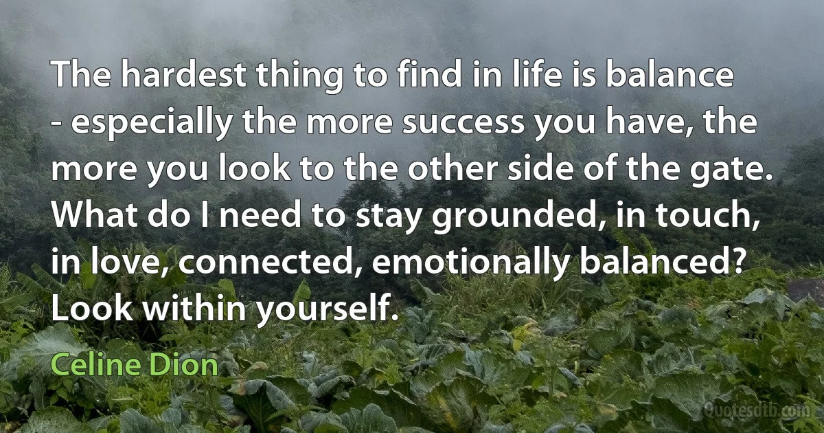 The hardest thing to find in life is balance - especially the more success you have, the more you look to the other side of the gate. What do I need to stay grounded, in touch, in love, connected, emotionally balanced? Look within yourself. (Celine Dion)