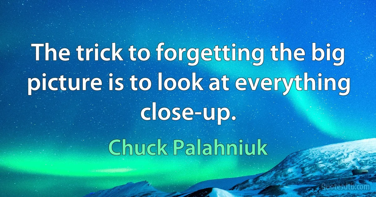 The trick to forgetting the big picture is to look at everything close-up. (Chuck Palahniuk)