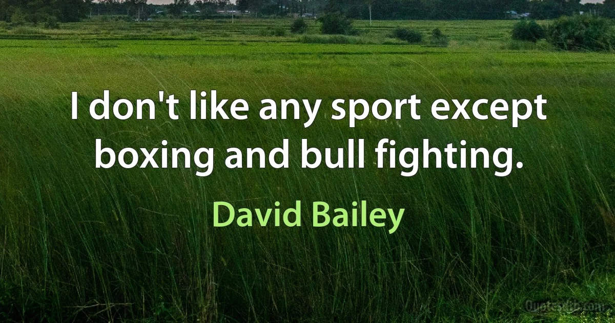 I don't like any sport except boxing and bull fighting. (David Bailey)