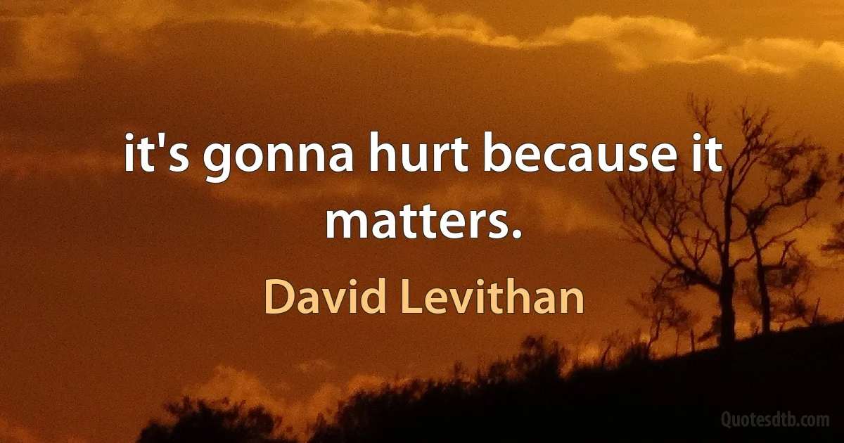 it's gonna hurt because it matters. (David Levithan)