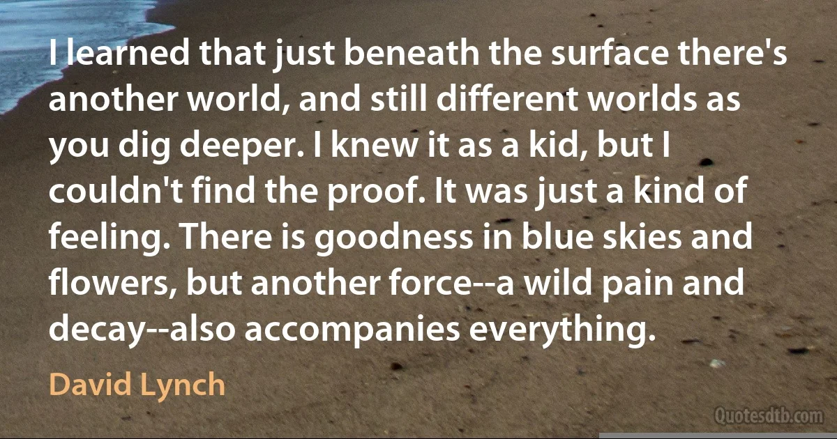 I learned that just beneath the surface there's another world, and still different worlds as you dig deeper. I knew it as a kid, but I couldn't find the proof. It was just a kind of feeling. There is goodness in blue skies and flowers, but another force--a wild pain and decay--also accompanies everything. (David Lynch)