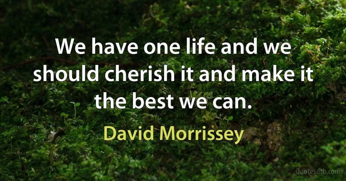 We have one life and we should cherish it and make it the best we can. (David Morrissey)