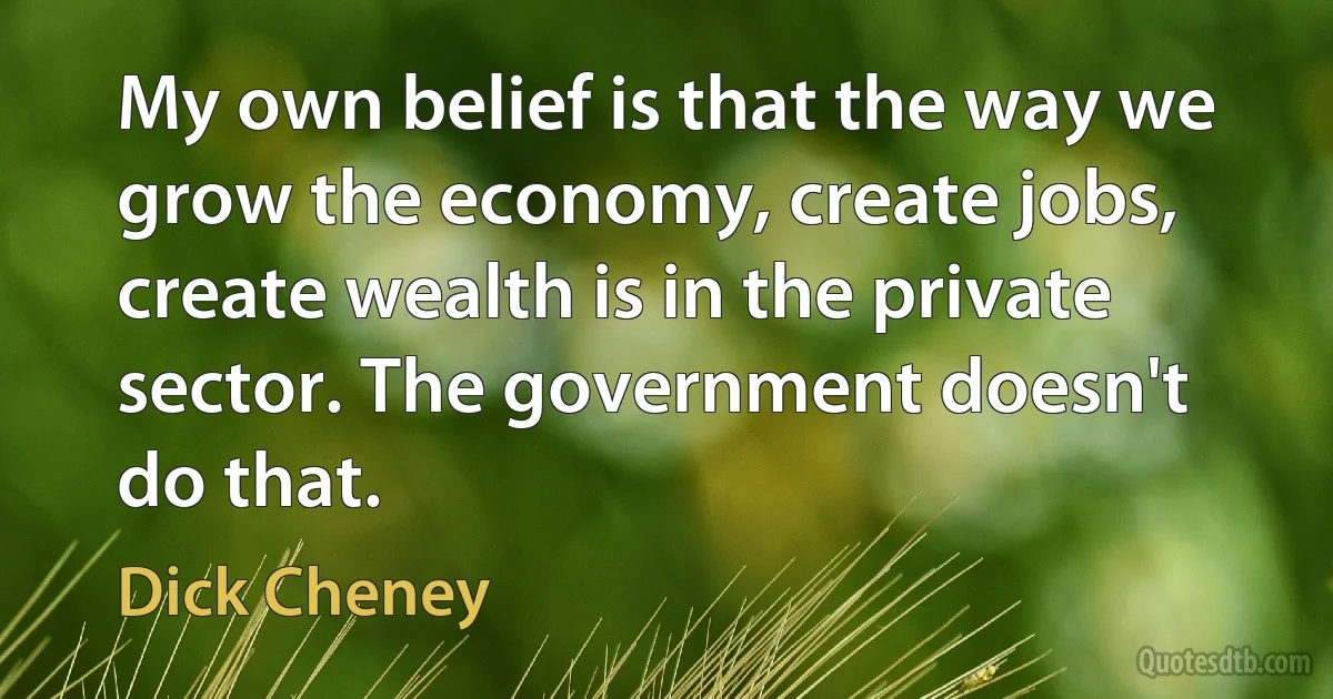 My own belief is that the way we grow the economy, create jobs, create wealth is in the private sector. The government doesn't do that. (Dick Cheney)