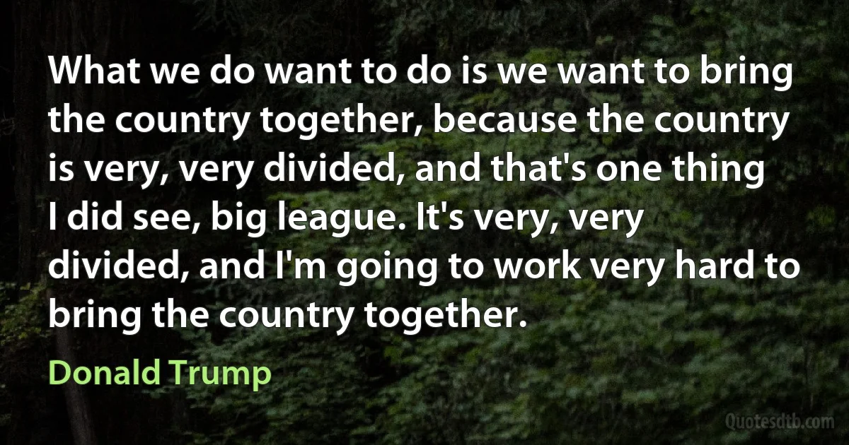 What we do want to do is we want to bring the country together, because the country is very, very divided, and that's one thing I did see, big league. It's very, very divided, and I'm going to work very hard to bring the country together. (Donald Trump)