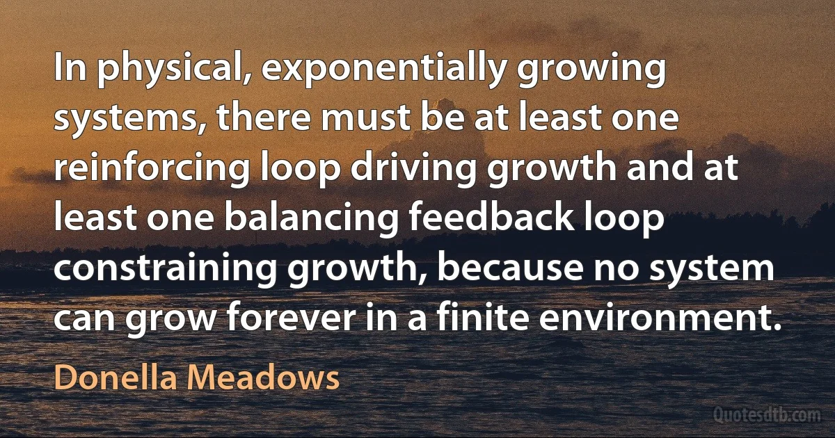 In physical, exponentially growing systems, there must be at least one reinforcing loop driving growth and at least one balancing feedback loop constraining growth, because no system can grow forever in a finite environment. (Donella Meadows)