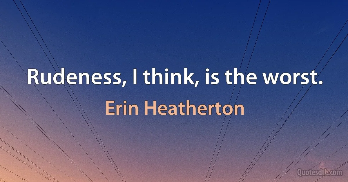 Rudeness, I think, is the worst. (Erin Heatherton)