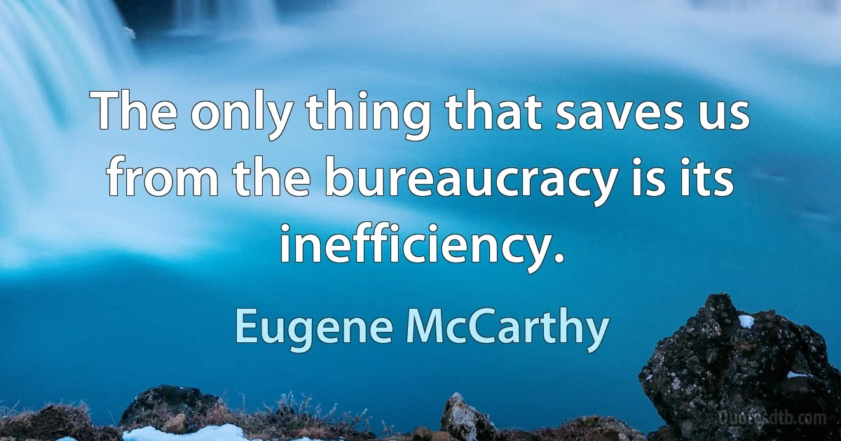 The only thing that saves us from the bureaucracy is its inefficiency. (Eugene McCarthy)