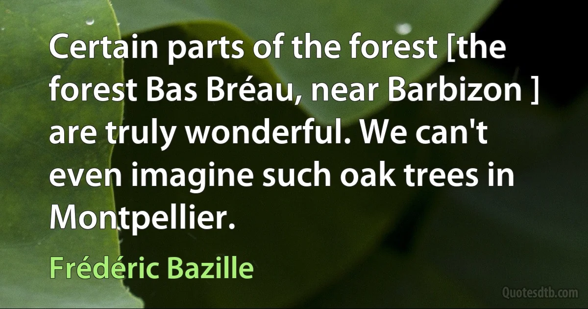 Certain parts of the forest [the forest Bas Bréau, near Barbizon ] are truly wonderful. We can't even imagine such oak trees in Montpellier. (Frédéric Bazille)