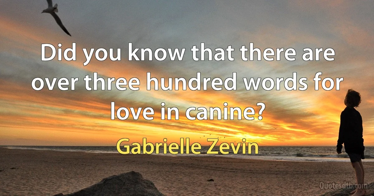 Did you know that there are over three hundred words for love in canine? (Gabrielle Zevin)