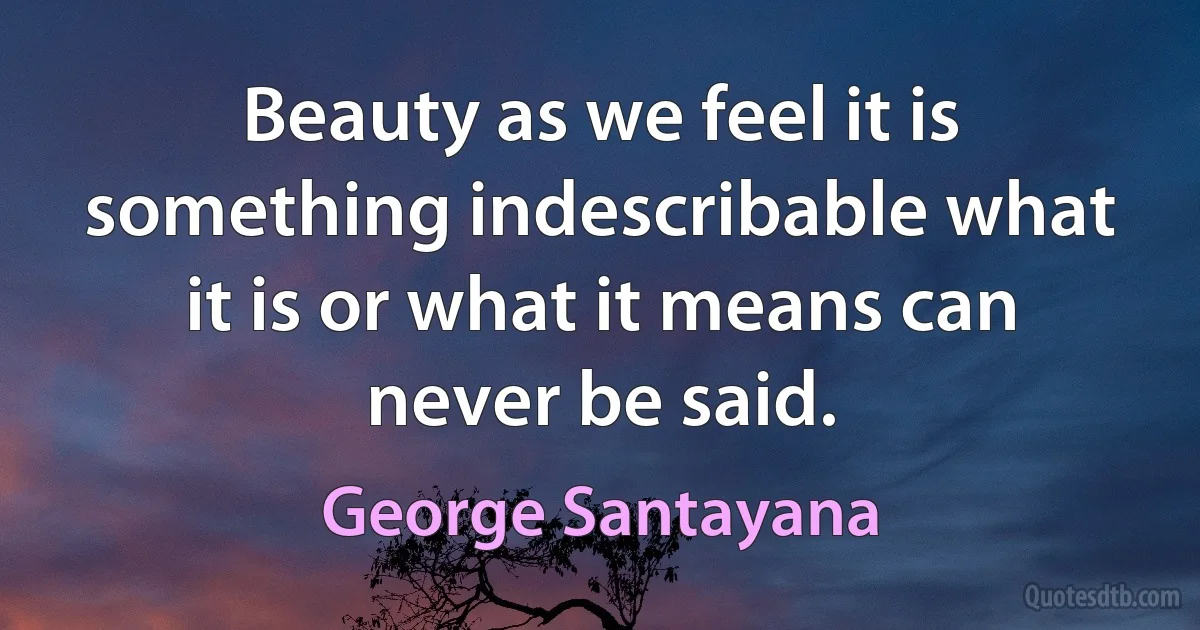 Beauty as we feel it is something indescribable what it is or what it means can never be said. (George Santayana)