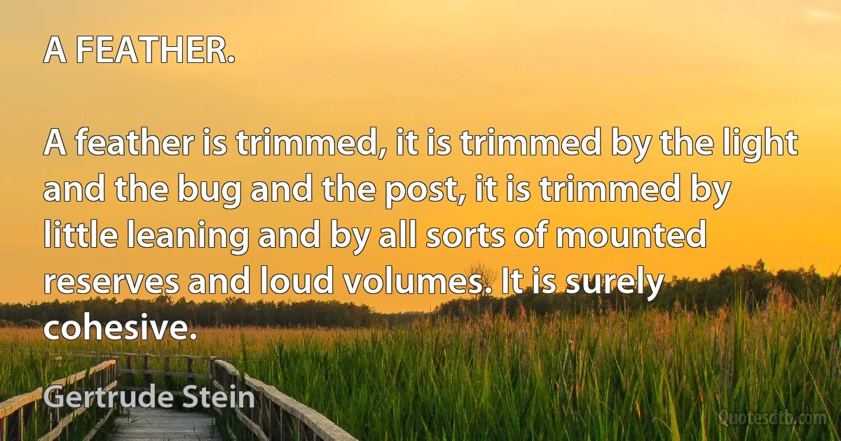 A FEATHER.

A feather is trimmed, it is trimmed by the light and the bug and the post, it is trimmed by little leaning and by all sorts of mounted reserves and loud volumes. It is surely cohesive. (Gertrude Stein)