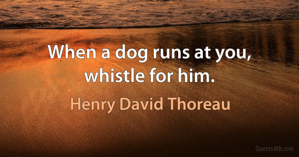 When a dog runs at you, whistle for him. (Henry David Thoreau)