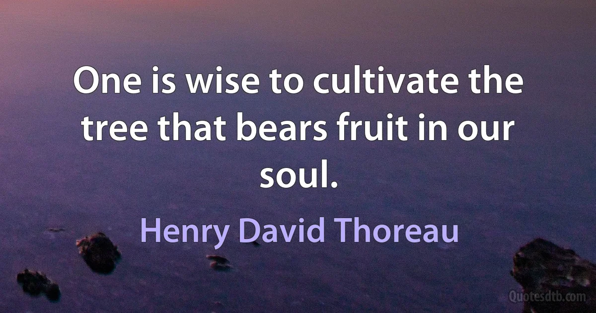 One is wise to cultivate the tree that bears fruit in our soul. (Henry David Thoreau)