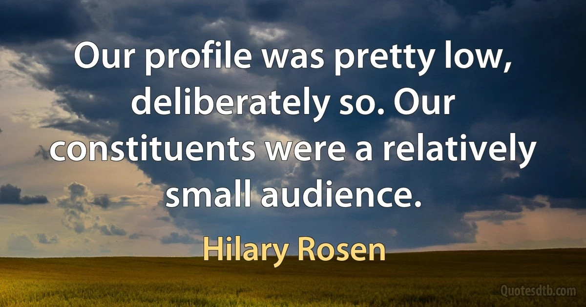 Our profile was pretty low, deliberately so. Our constituents were a relatively small audience. (Hilary Rosen)