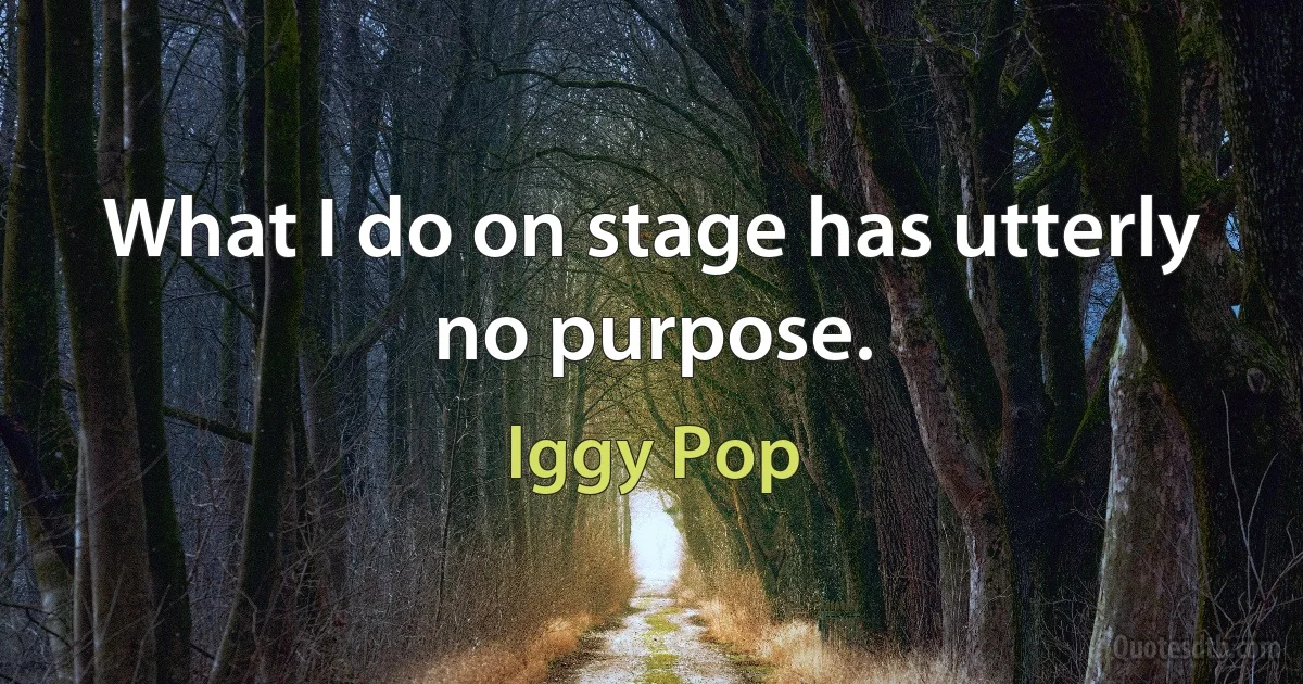 What I do on stage has utterly no purpose. (Iggy Pop)