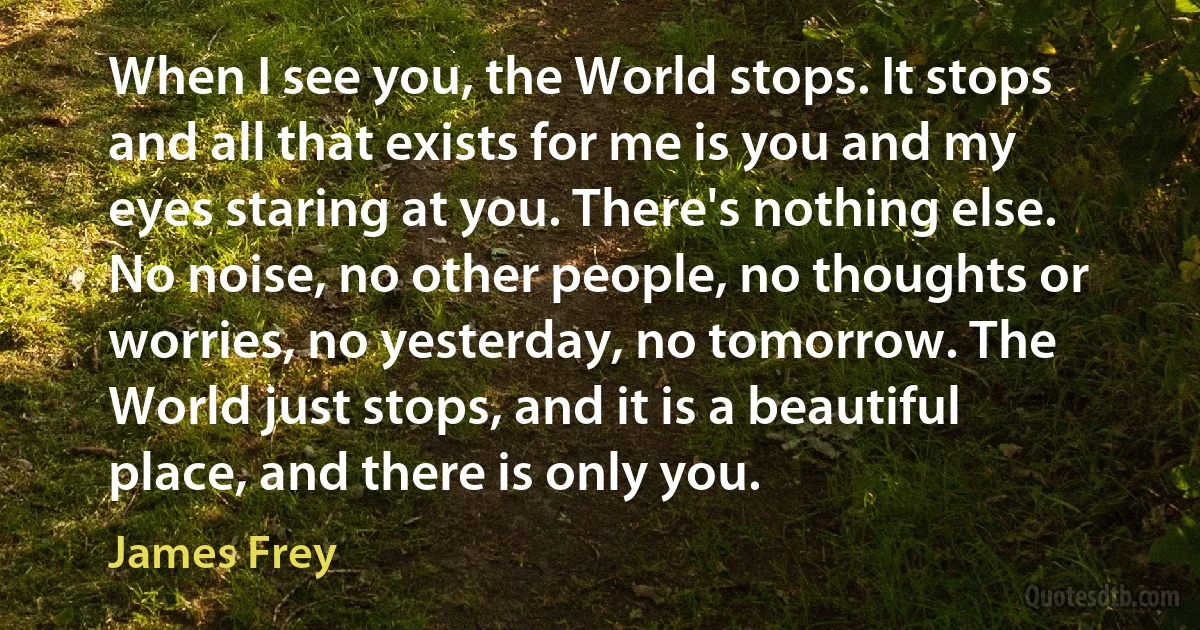 When I see you, the World stops. It stops and all that exists for me is you and my eyes staring at you. There's nothing else. No noise, no other people, no thoughts or worries, no yesterday, no tomorrow. The World just stops, and it is a beautiful place, and there is only you. (James Frey)