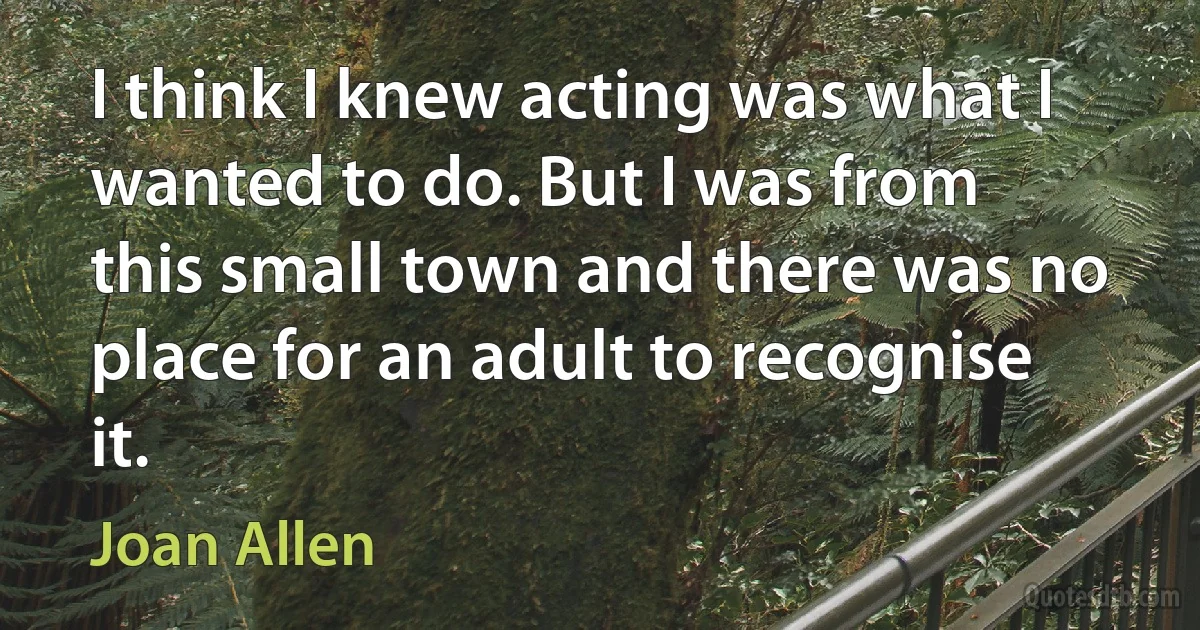 I think I knew acting was what I wanted to do. But I was from this small town and there was no place for an adult to recognise it. (Joan Allen)