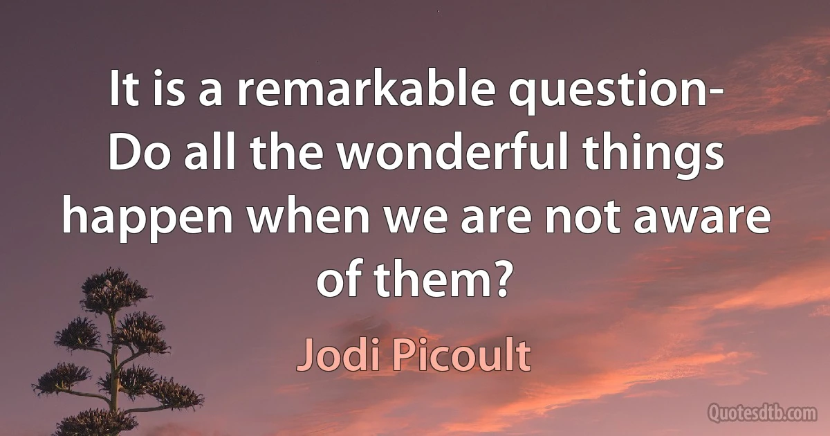 It is a remarkable question- Do all the wonderful things happen when we are not aware of them? (Jodi Picoult)