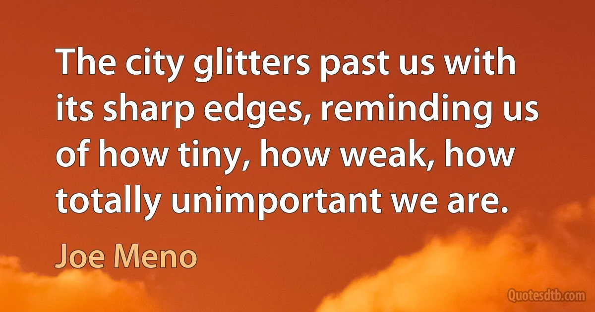 The city glitters past us with its sharp edges, reminding us of how tiny, how weak, how totally unimportant we are. (Joe Meno)