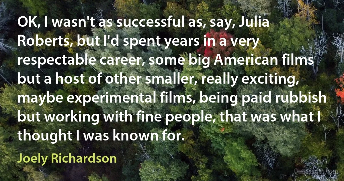 OK, I wasn't as successful as, say, Julia Roberts, but I'd spent years in a very respectable career, some big American films but a host of other smaller, really exciting, maybe experimental films, being paid rubbish but working with fine people, that was what I thought I was known for. (Joely Richardson)