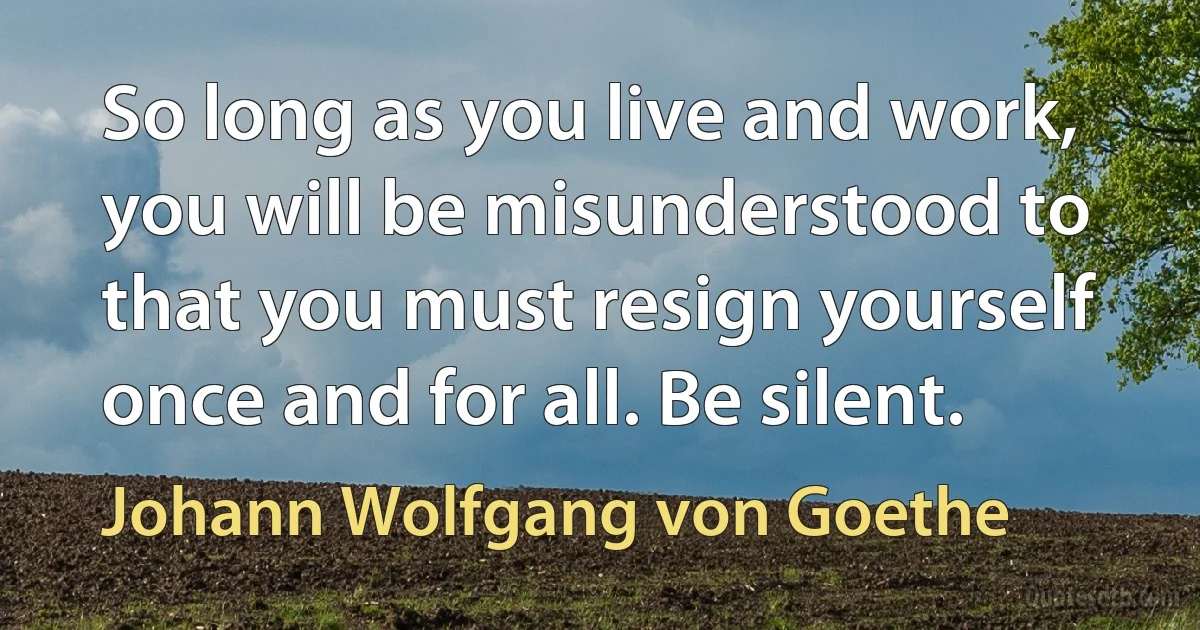 So long as you live and work, you will be misunderstood to that you must resign yourself once and for all. Be silent. (Johann Wolfgang von Goethe)