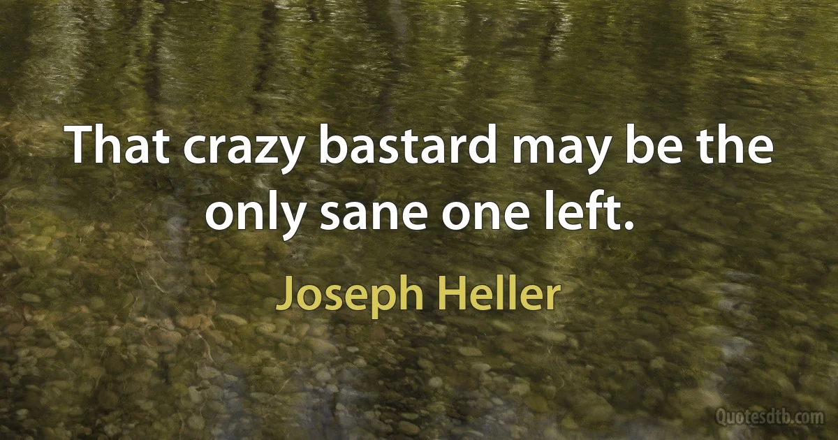 That crazy bastard may be the only sane one left. (Joseph Heller)