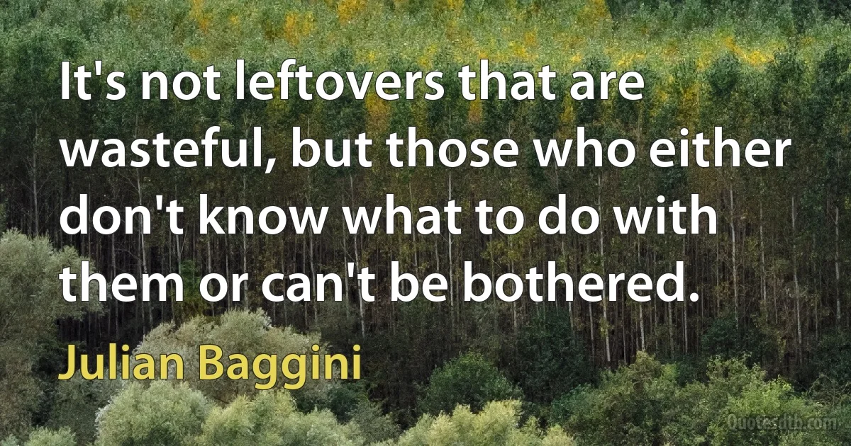 It's not leftovers that are wasteful, but those who either don't know what to do with them or can't be bothered. (Julian Baggini)