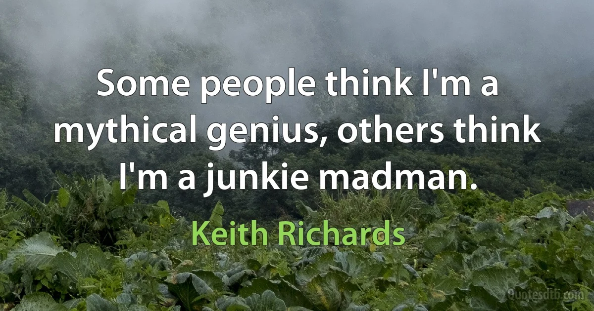 Some people think I'm a mythical genius, others think I'm a junkie madman. (Keith Richards)