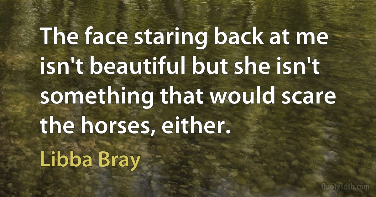 The face staring back at me isn't beautiful but she isn't something that would scare the horses, either. (Libba Bray)