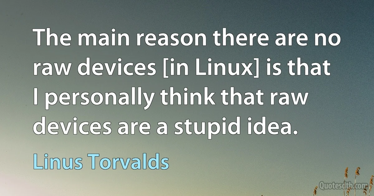 The main reason there are no raw devices [in Linux] is that I personally think that raw devices are a stupid idea. (Linus Torvalds)