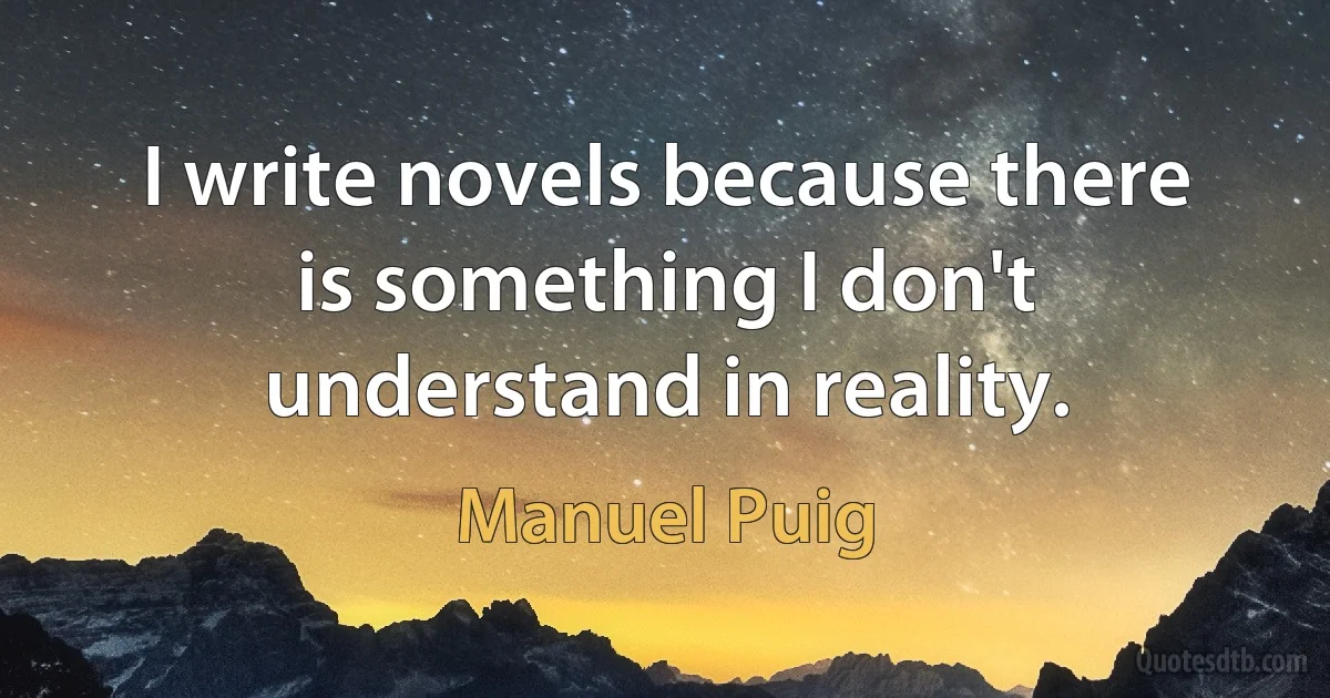 I write novels because there is something I don't understand in reality. (Manuel Puig)