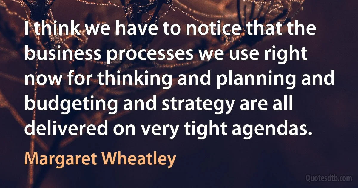 I think we have to notice that the business processes we use right now for thinking and planning and budgeting and strategy are all delivered on very tight agendas. (Margaret Wheatley)