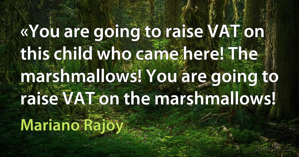 «You are going to raise VAT on this child who came here! The marshmallows! You are going to raise VAT on the marshmallows! (Mariano Rajoy)