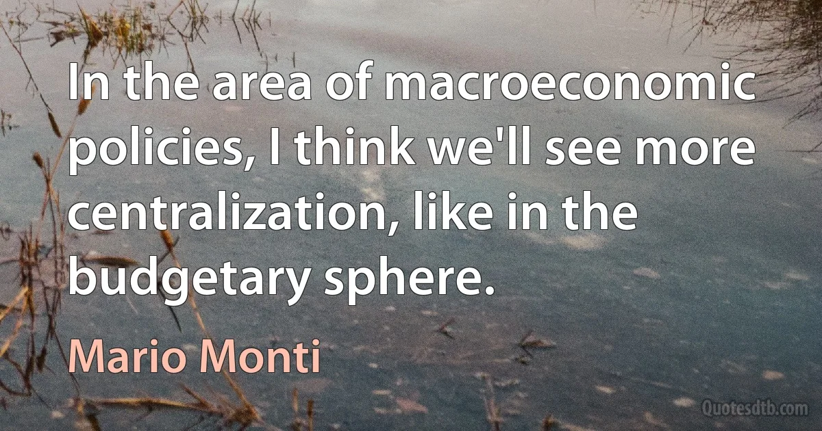 In the area of macroeconomic policies, I think we'll see more centralization, like in the budgetary sphere. (Mario Monti)