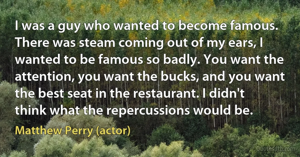 I was a guy who wanted to become famous. There was steam coming out of my ears, I wanted to be famous so badly. You want the attention, you want the bucks, and you want the best seat in the restaurant. I didn't think what the repercussions would be. (Matthew Perry (actor))