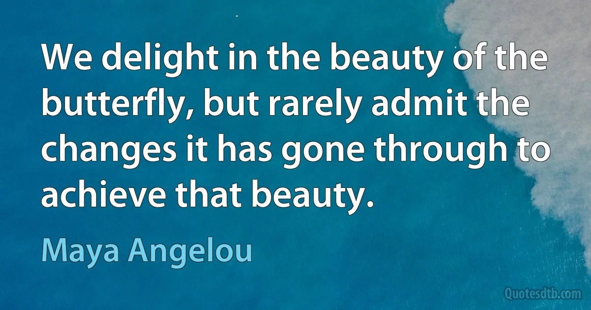 We delight in the beauty of the butterfly, but rarely admit the changes it has gone through to achieve that beauty. (Maya Angelou)