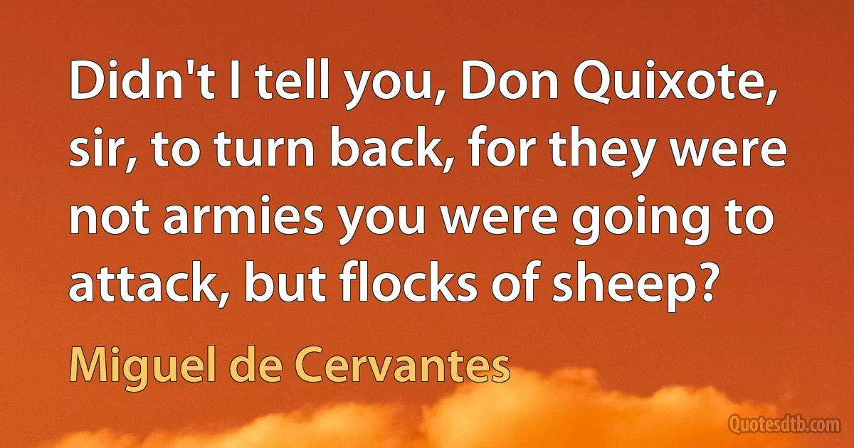 Didn't I tell you, Don Quixote, sir, to turn back, for they were not armies you were going to attack, but flocks of sheep? (Miguel de Cervantes)