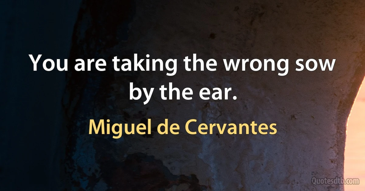 You are taking the wrong sow by the ear. (Miguel de Cervantes)