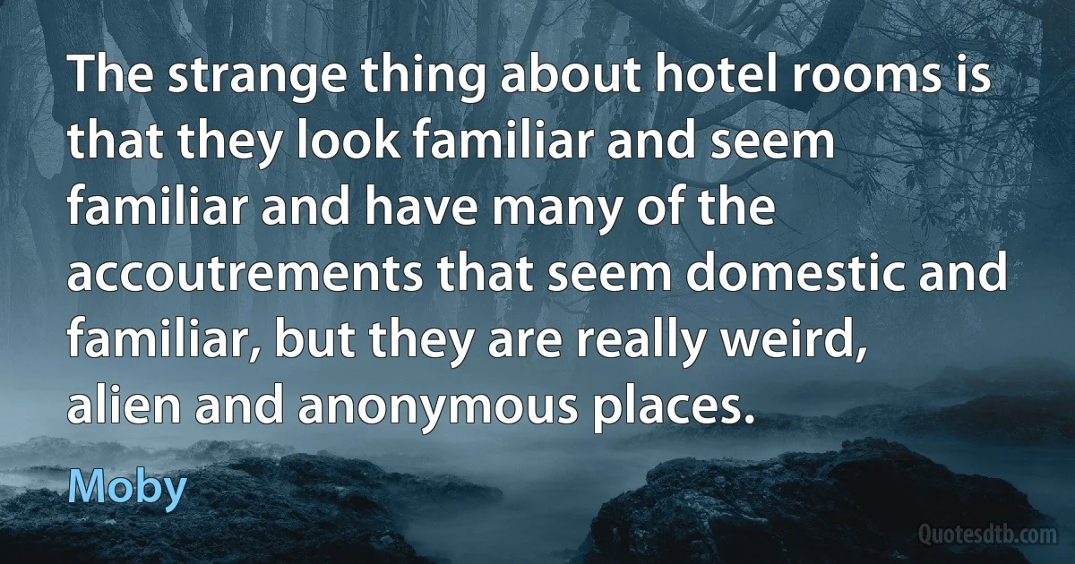 The strange thing about hotel rooms is that they look familiar and seem familiar and have many of the accoutrements that seem domestic and familiar, but they are really weird, alien and anonymous places. (Moby)