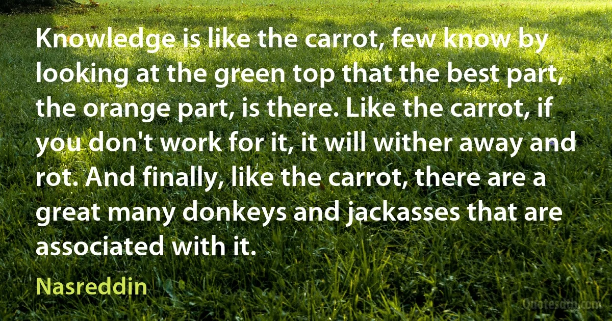 Knowledge is like the carrot, few know by looking at the green top that the best part, the orange part, is there. Like the carrot, if you don't work for it, it will wither away and rot. And finally, like the carrot, there are a great many donkeys and jackasses that are associated with it. (Nasreddin)