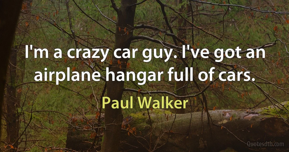 I'm a crazy car guy. I've got an airplane hangar full of cars. (Paul Walker)