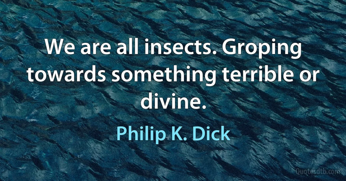 We are all insects. Groping towards something terrible or divine. (Philip K. Dick)