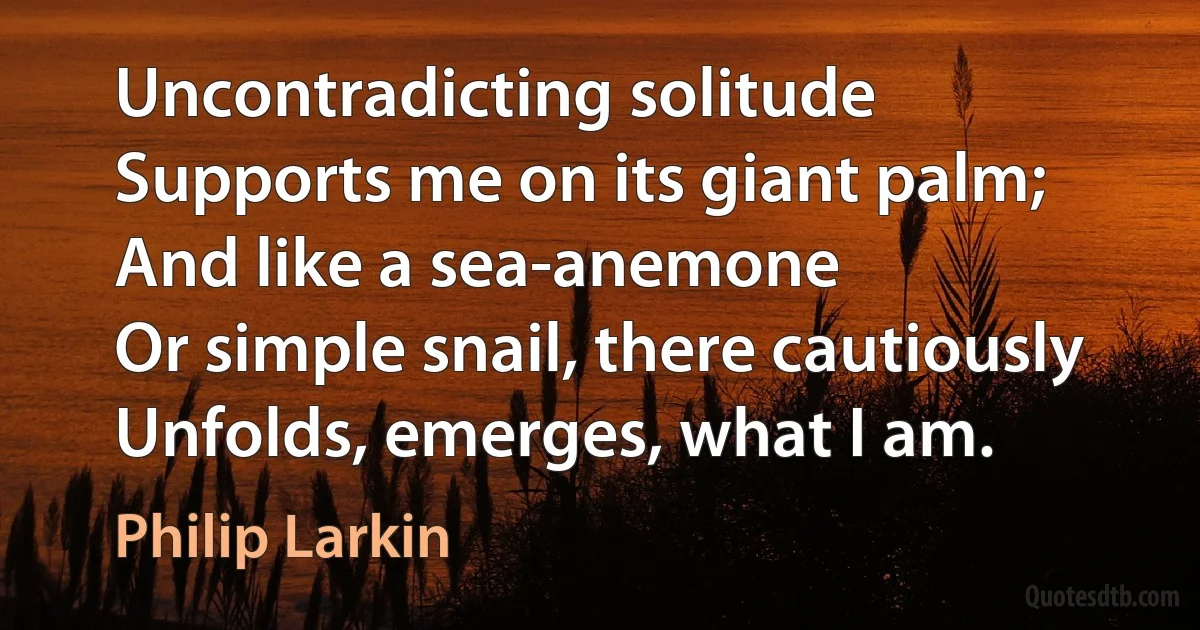 Uncontradicting solitude
Supports me on its giant palm;
And like a sea-anemone
Or simple snail, there cautiously
Unfolds, emerges, what I am. (Philip Larkin)