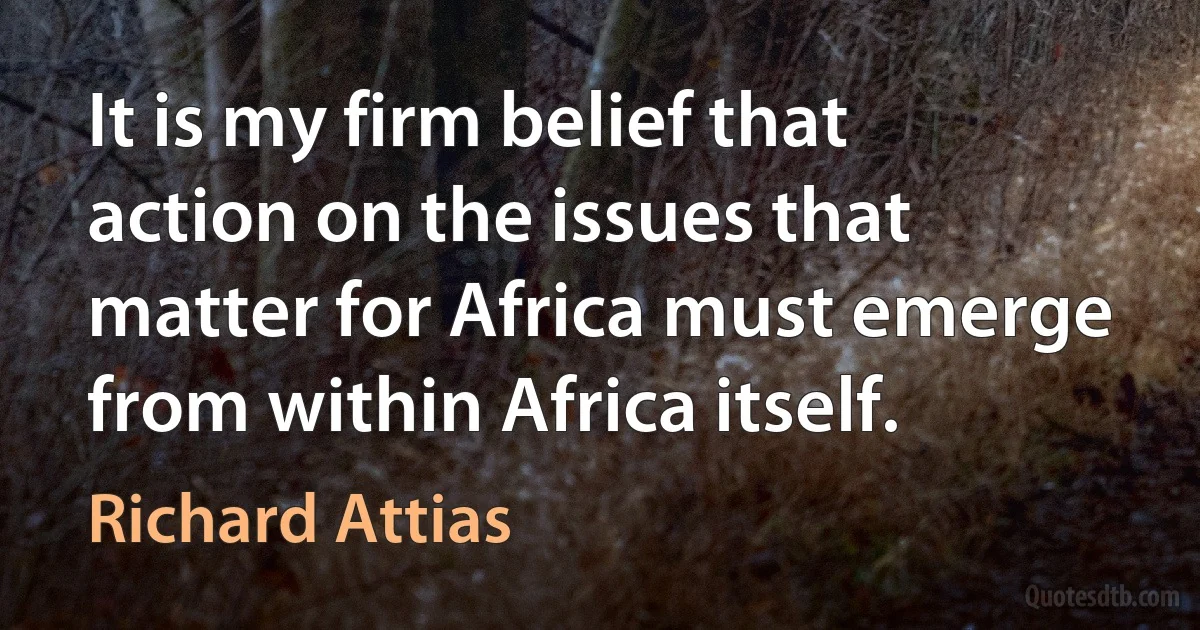 It is my firm belief that action on the issues that matter for Africa must emerge from within Africa itself. (Richard Attias)